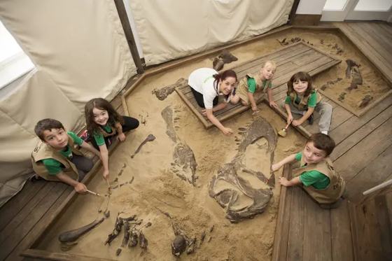 Dinosaur Discovery – Family Experience