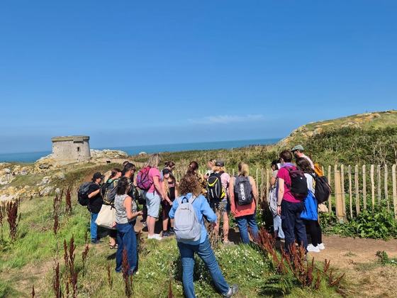 Ireland's Eye Foraging & Beach Picnic
