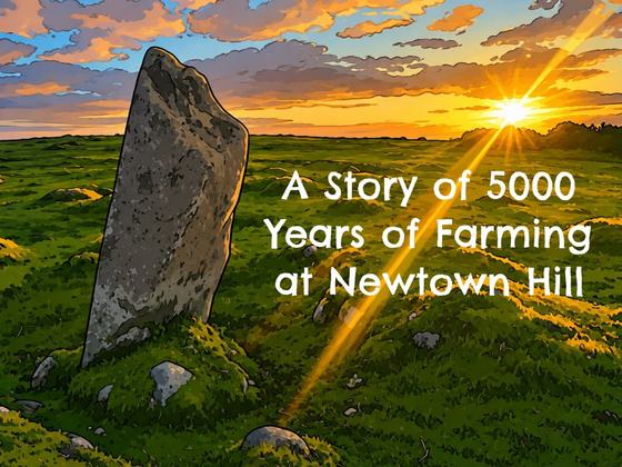 Newtown Hill Archaeology Tour