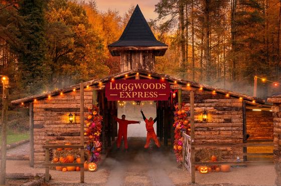 Luggwoods Fall Festival